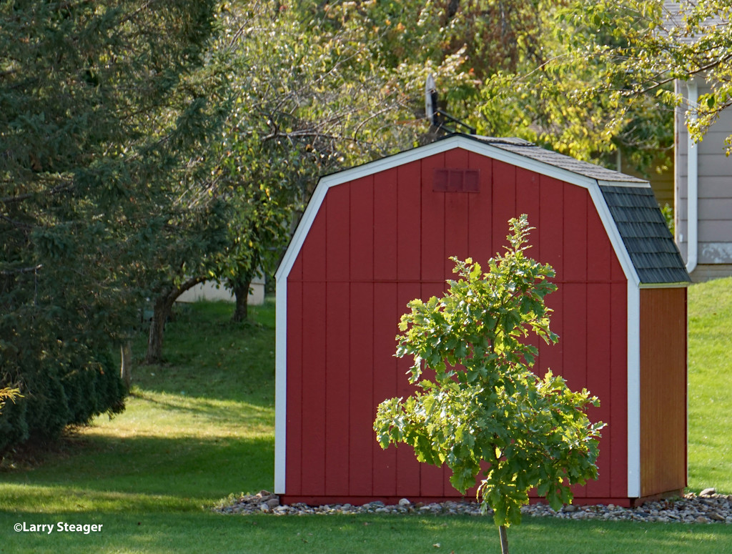 Miniture red barn shead by larrysphotos