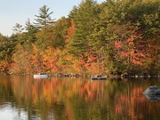 10th Oct 2020 - Fall Reflections in New England