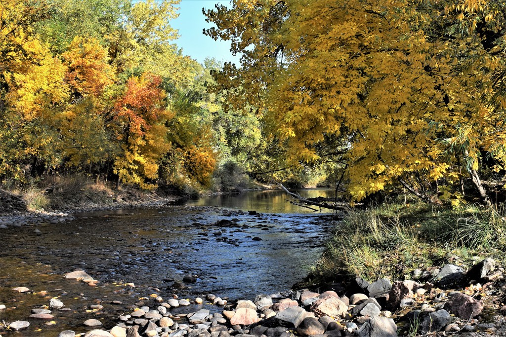 Autumn along the Poudre by sandlily
