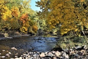 10th Oct 2020 - Autumn along the Poudre