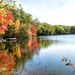 A bit of Autumn at Estes Lake by joansmor