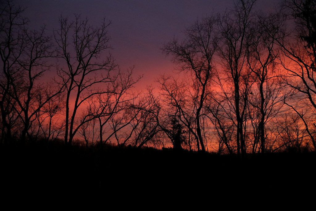 Solstice Sunset by steelcityfox
