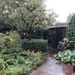 Garden in the rain by jacqbb