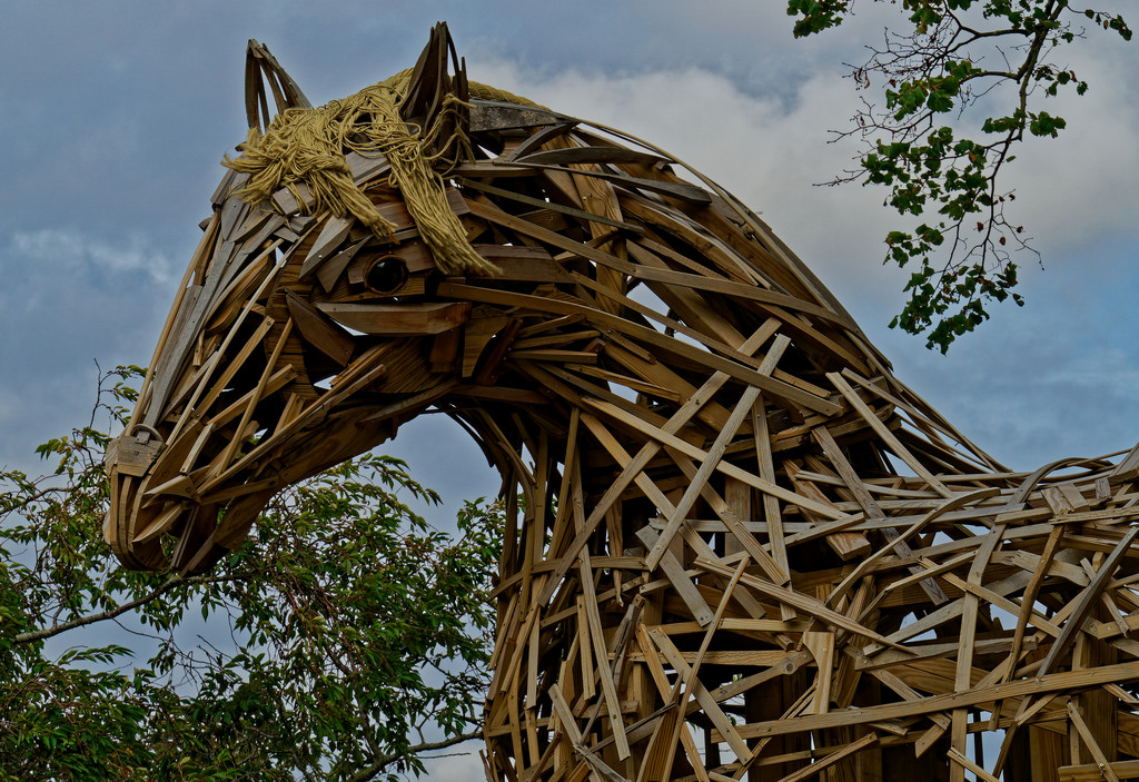 1011 - Wooden Horse by bob65
