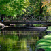 Woodland Gardens, Bushy Park by 365nick