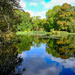 Woodland Gardens, Bushy park by 365nick