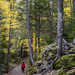 Mont-Tremblant Hiking Adventures by pdulis
