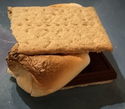 11th Oct 2020 - S’more!!!