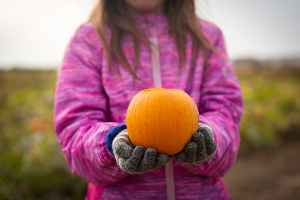 Perfect Little Pumpkin by tina_mac