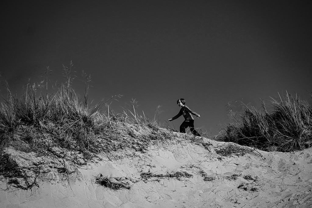 The Dune Walker by vera365