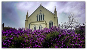 12th Oct 2020 - Lavender and Church..