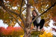 11th Oct 2020 - More Tree Climbing
