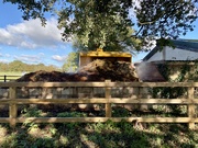 9th Oct 2020 - Horse manure