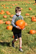 12th Oct 2020 - That Is One Big Pumpkin.