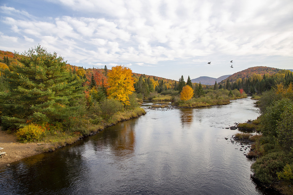 Diable River in Mont-Tremblant by pdulis