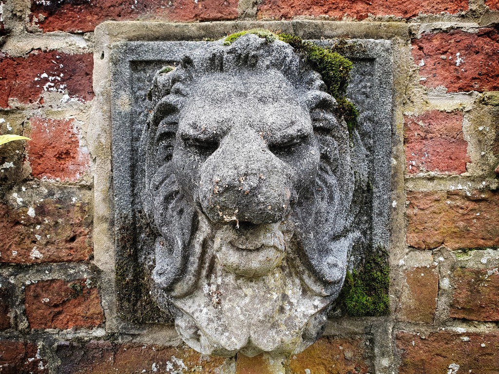 Old stone lion water feature - Walled Gardens, Sheffield by isaacsnek