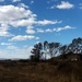 2019 12 05 Karoo Landscape by kwiksilver