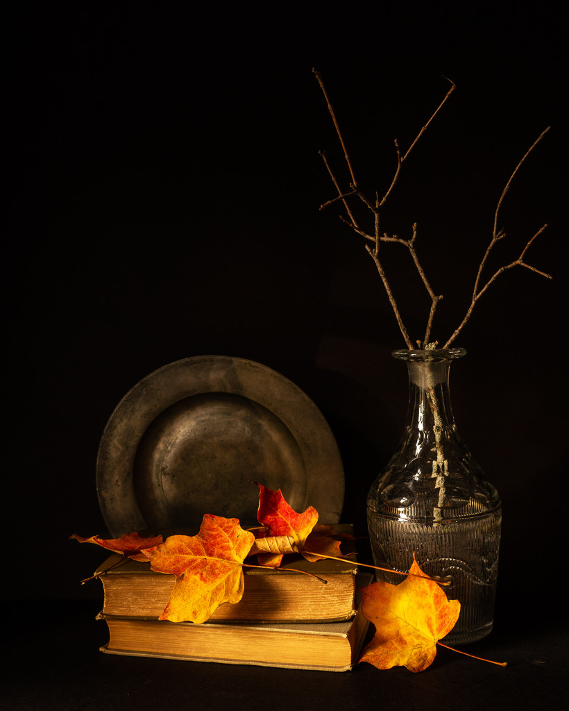 simple still live with some fall leaves by jernst1779