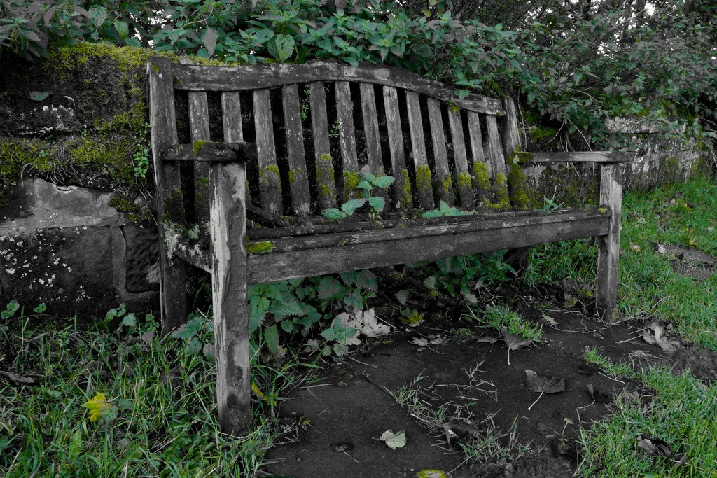 OLD BENCH by markp