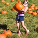 Another Pumpkin Carrier. by bigdad