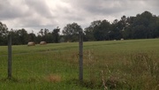 14th Oct 2020 - Fence and field...