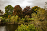 14th Oct 2020 - Autumn colours on the River Wye