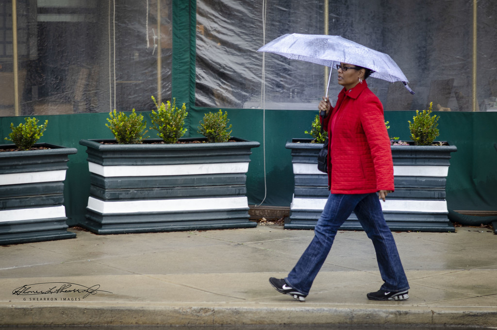 Walkin' in the Rain by ggshearron