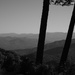 Scenic Overlook in B&W by lsquared