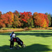 Autumn Golf by tdaug80