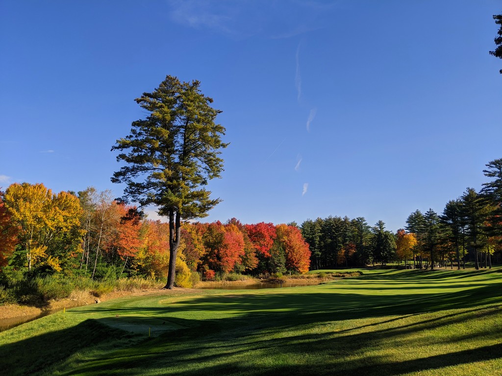 More Autumn Golf by tdaug80