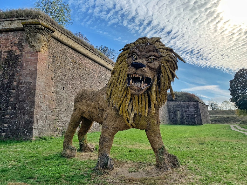 The roaring lion.  by cocobella