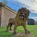 The roaring lion.  by cocobella