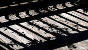 16th Oct 2020 - Painted deck railing shadows...