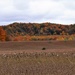 autumn layers by edorreandresen