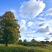 A Walk in Sutton Park.. by moominmomma