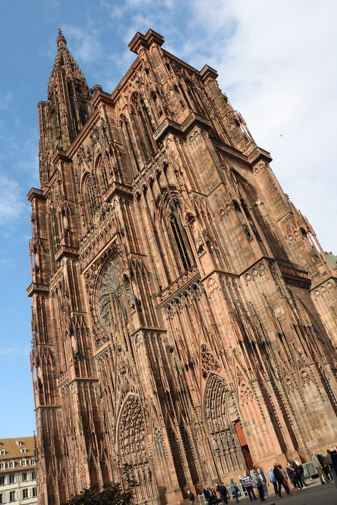 Notre Dames, Strasbourg by momamo
