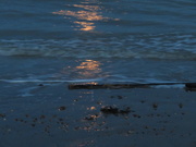 29th Sep 2020 - Moon on the water