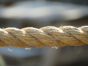 1st Sep 2020 - A bit of old rope