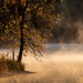Sunrise & Fog by dridsdale