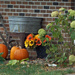 Fall display by larrysphotos