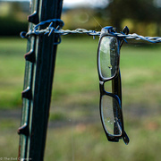 14th Oct 2020 - Glasses Left Behind 