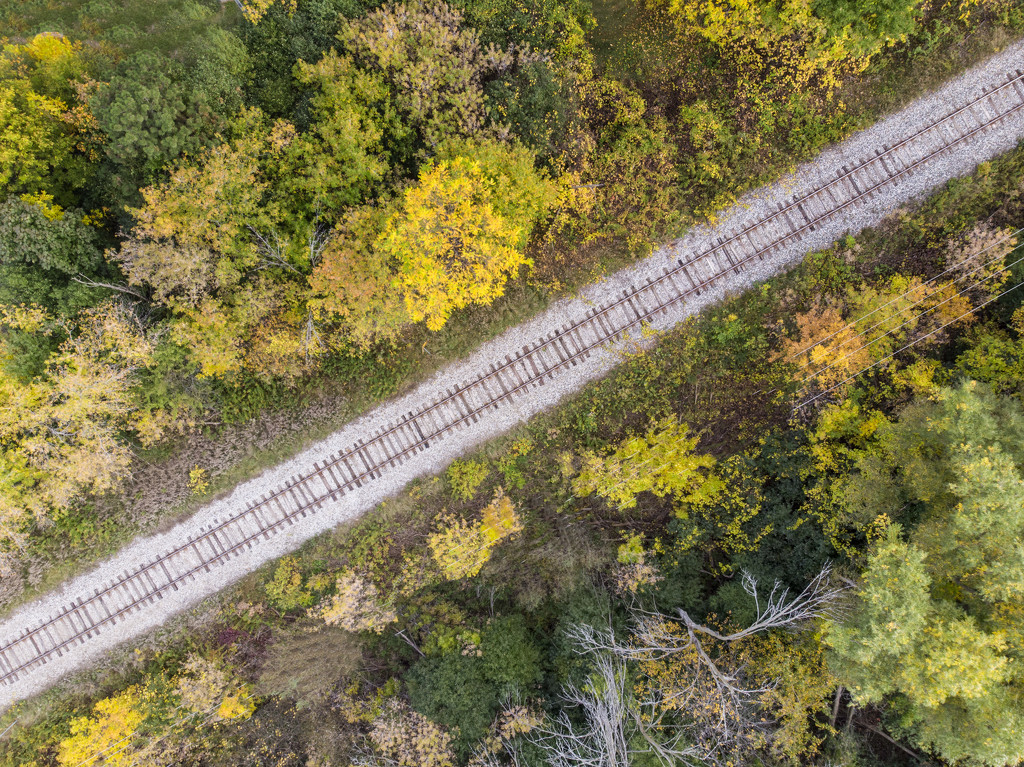 Railroad Tracks in Autumn by pdulis