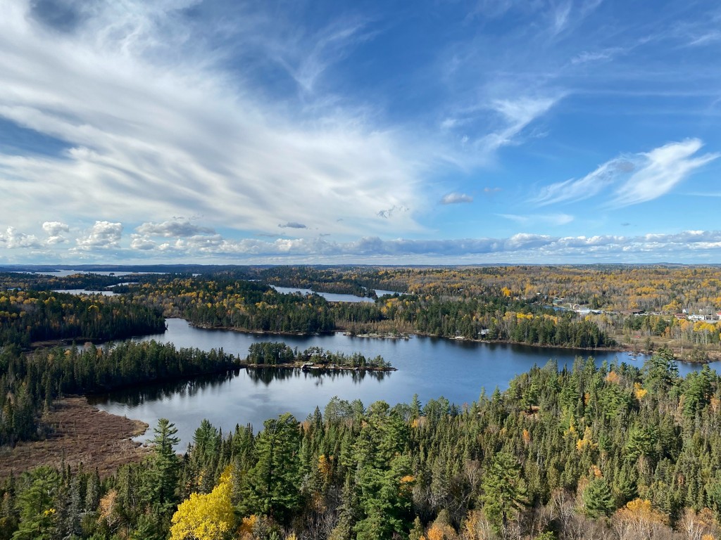 View from the Fire 🔥 Tower by radiogirl