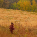 autumn prairie by rminer