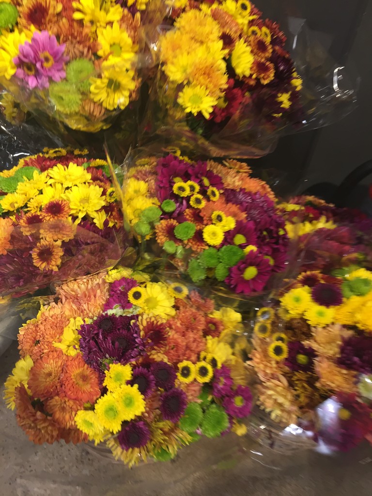 Bouquets at the supermarket  by kchuk