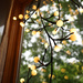 Window light by vera365