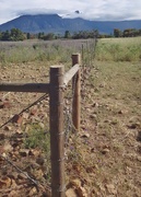 18th Oct 2020 - Fence line 