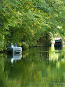 17th Oct 2020 - The Regents Canal
