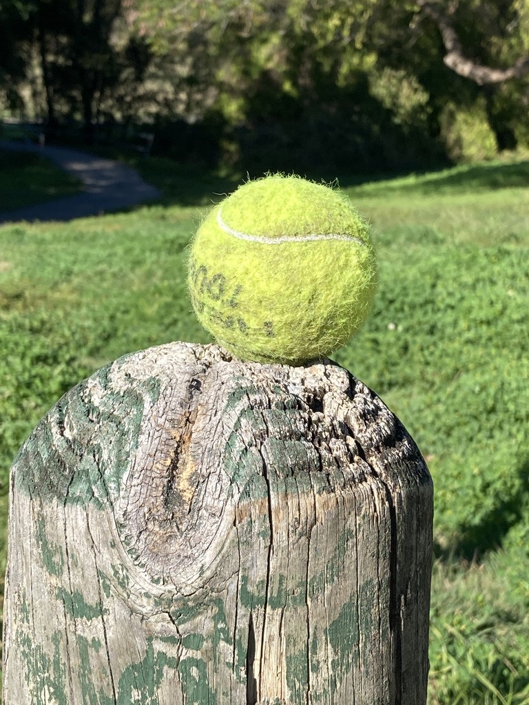 Ball on Pole by alisonjyoung