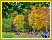 19th Oct 2020 - Elevenses In The Park